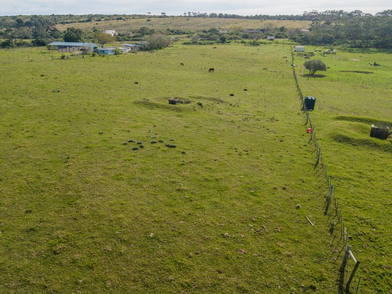 Land for sale in Alexandria - Photo 10