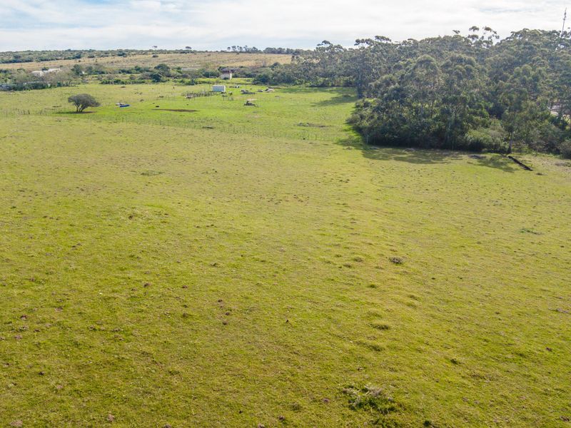 Land for sale in Alexandria - Photo 6