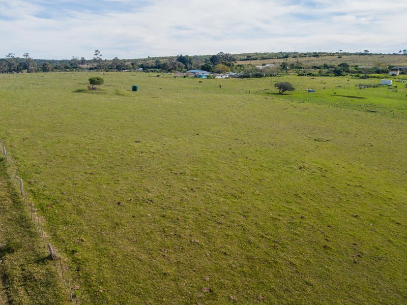 Land for sale in Alexandria - Photo 9