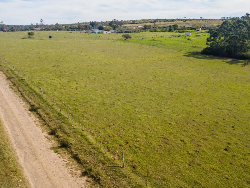 Land for sale in Alexandria - Photo 4