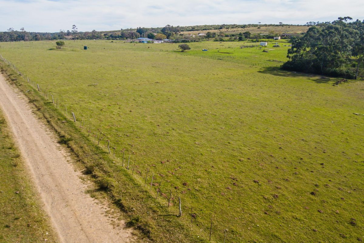 Land for sale in Alexandria - Photo 4