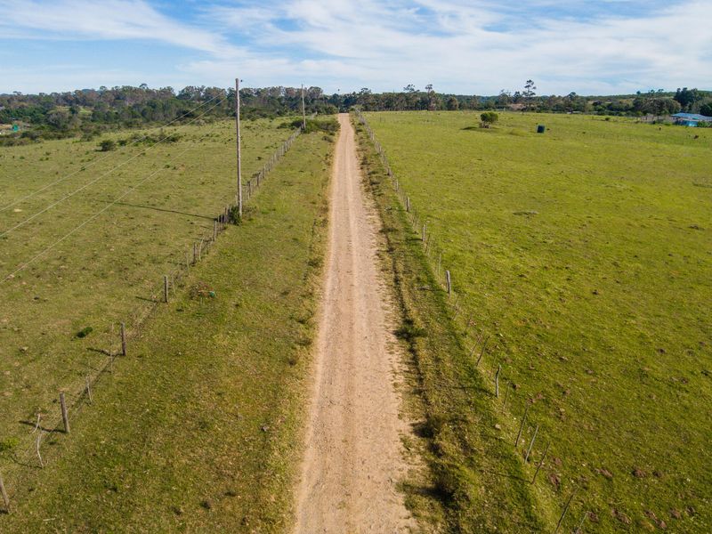 Land for sale in Alexandria - Photo 5