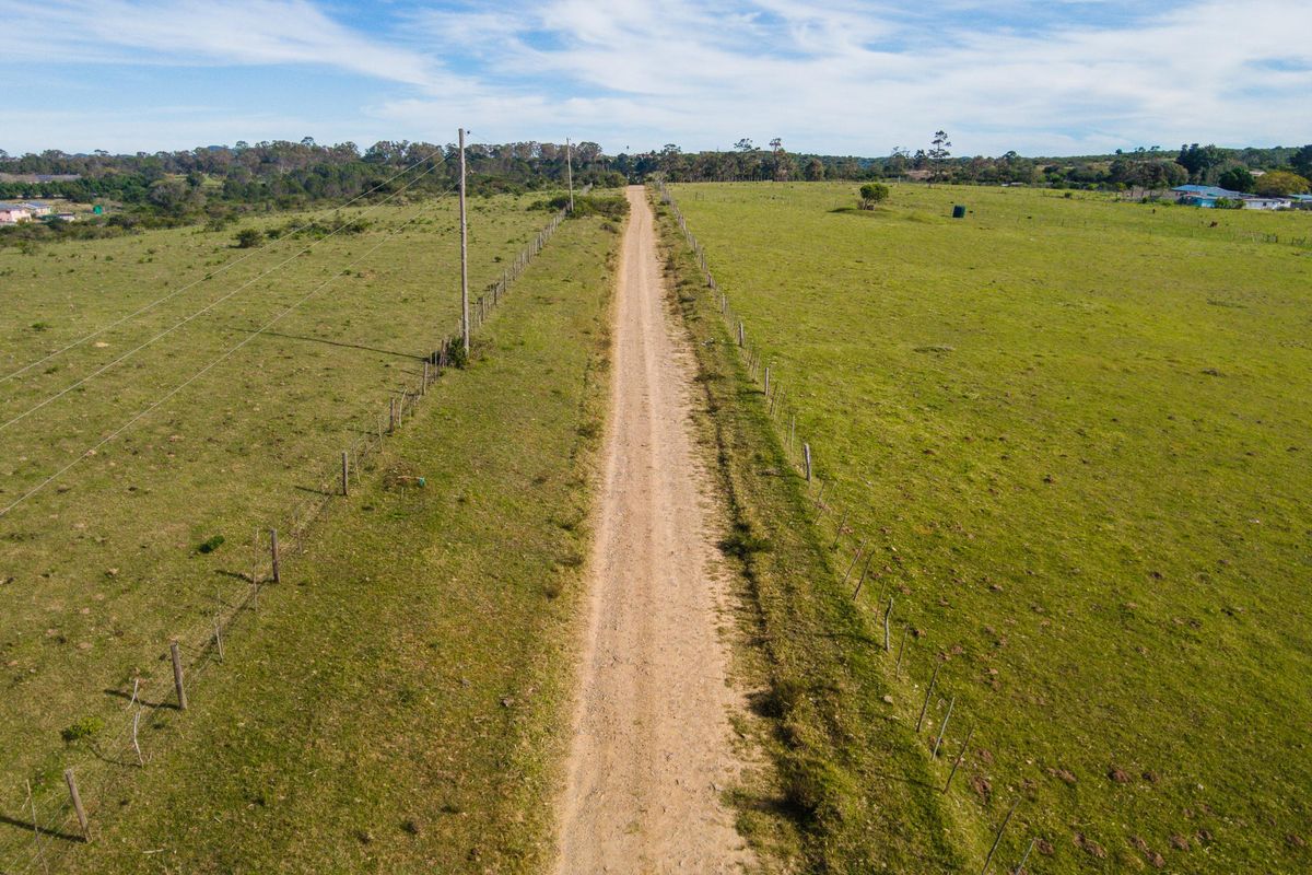 Land for sale in Alexandria - Photo 5