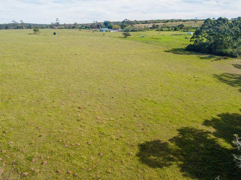 Land for sale in Alexandria - Photo 3