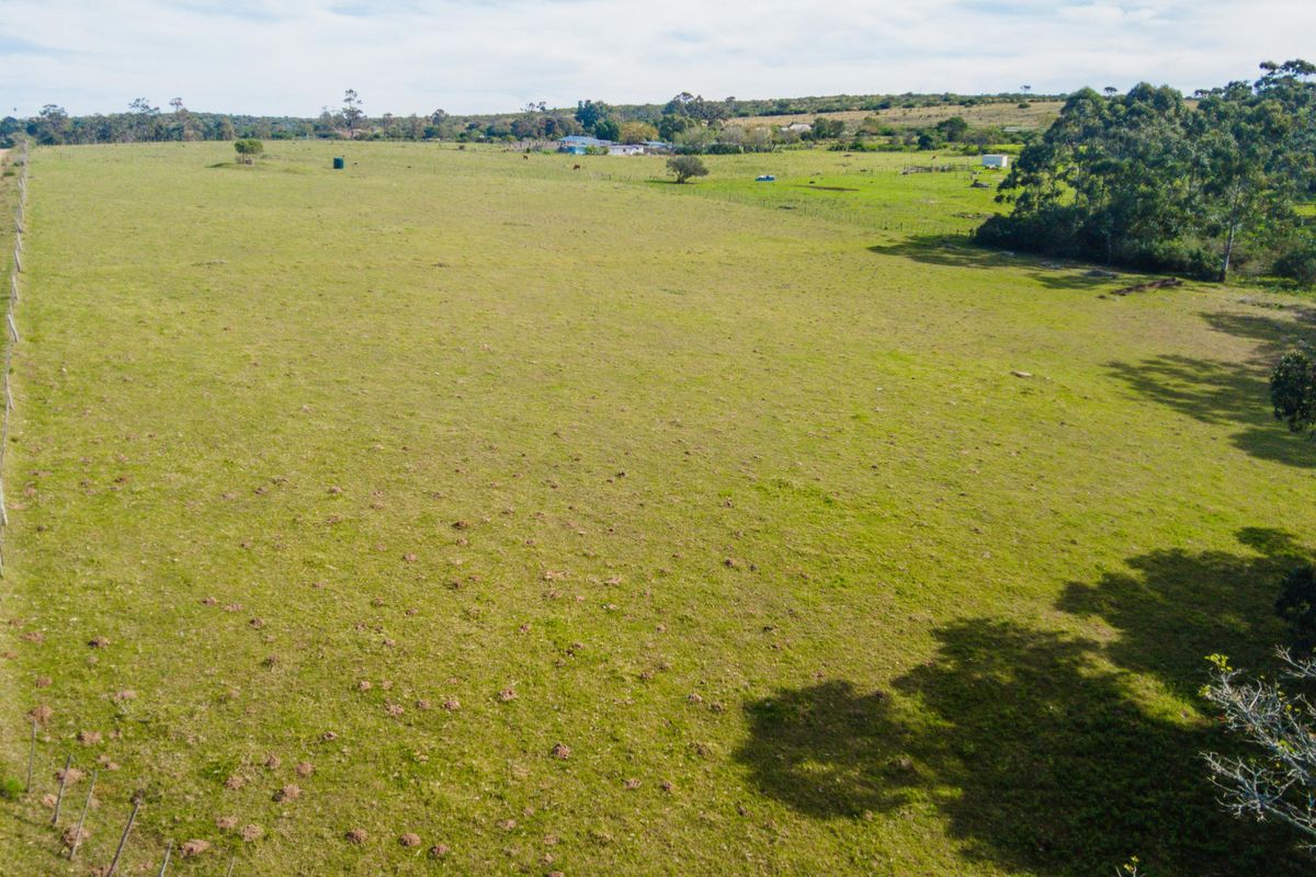 Land for sale in Alexandria - Photo 3