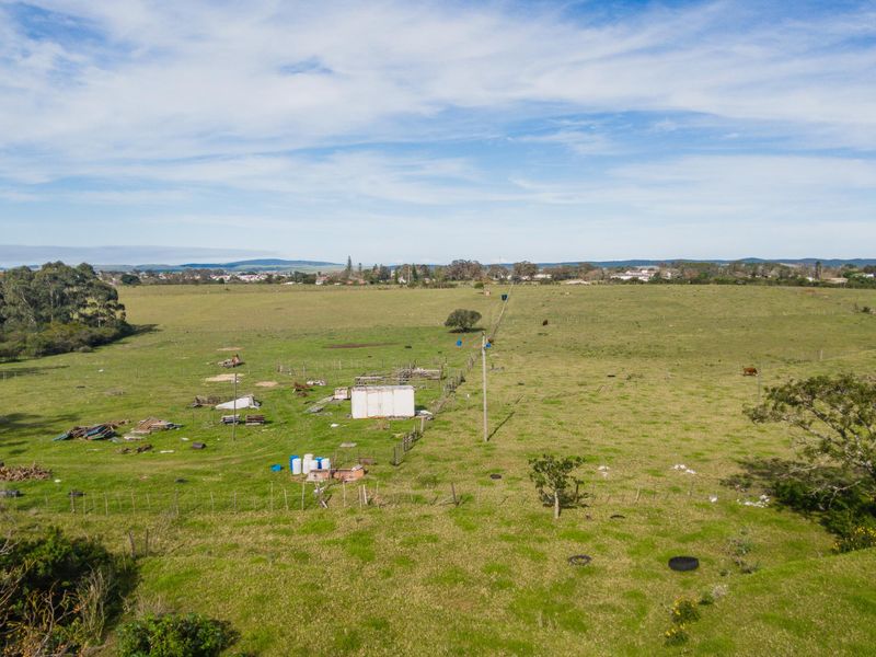 Land for sale in Alexandria - Photo 2