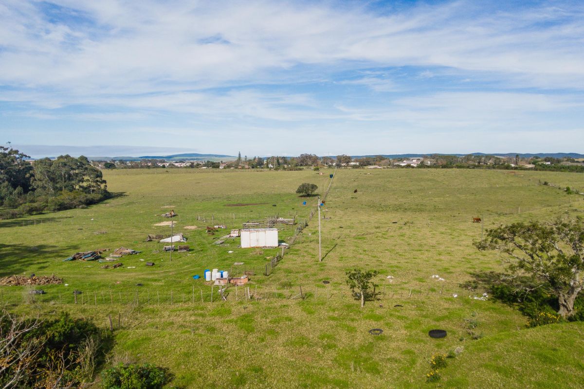 Land for sale in Alexandria - Photo 2