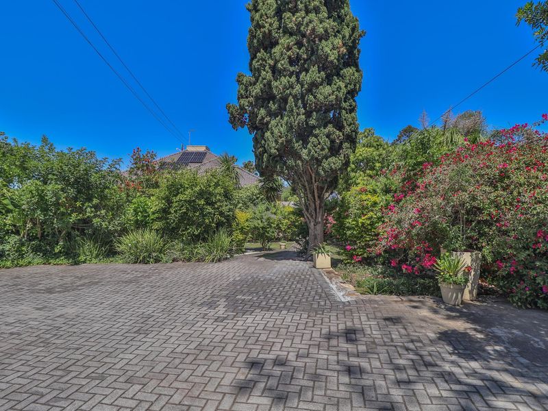 A well-maintained paved driveway leading to the property, surrounded by mature trees and established garden beds with solar panels visible on the roof.