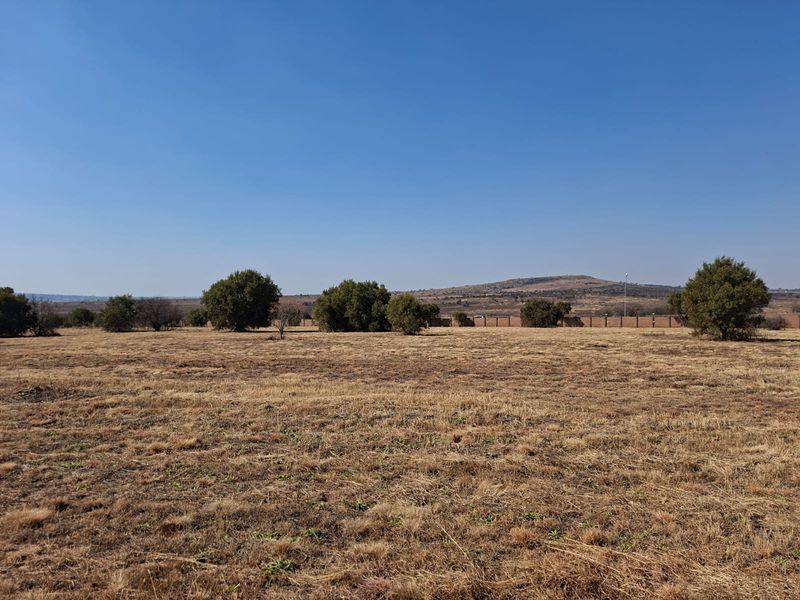A wide-angle view of a vacant residential plot featuring natural dry grass, scattered indigenous trees, and distant perimeter fencing under a clear blue sky.
