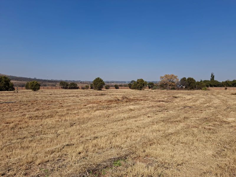 A wide-angle view of a vacant residential plot featuring dry grass, scattered trees, and a perimeter wall in the background.