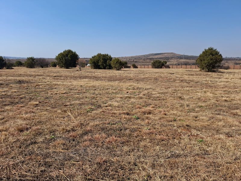 A wide-angle view of a vacant residential plot featuring dry grass and scattered native trees under a clear blue sky.