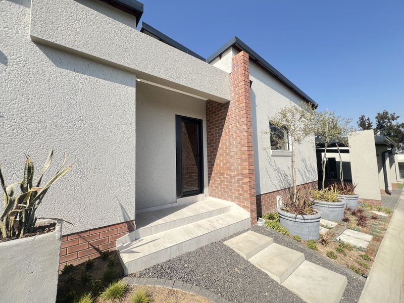 Modern townhouse entrance featuring a clean textured plaster facade, brick accents, tiled steps, and a contemporary black-framed glass front door.