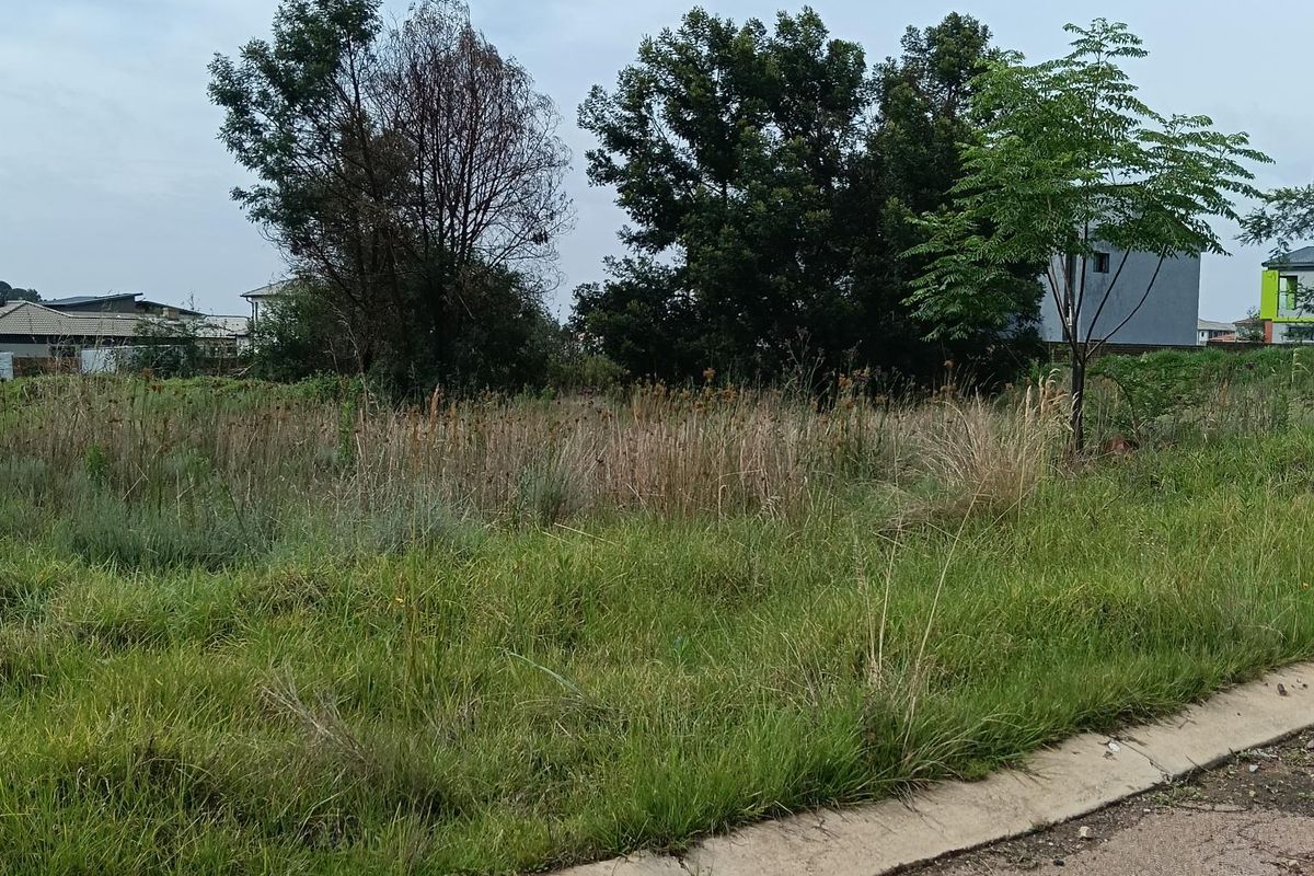 A vacant residential plot featuring overgrown grass and mature trees, bordered by a concrete curb along the street frontage.