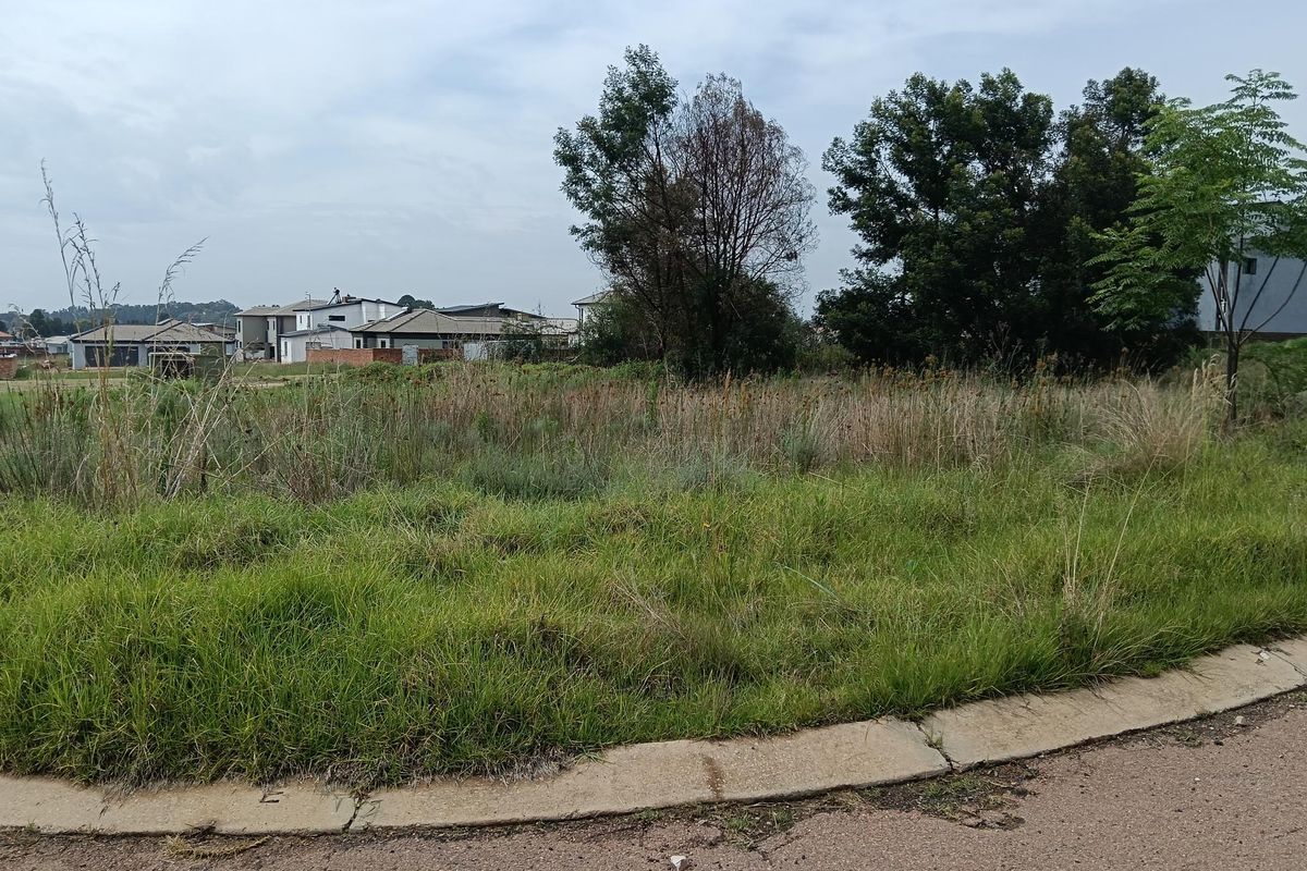 A vacant residential plot featuring natural grass and mature trees, bordered by a concrete curb and asphalt road in a developed neighborhood.
