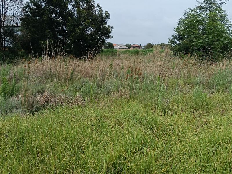 A view of a vacant residential plot featuring natural grassland and mature trees.