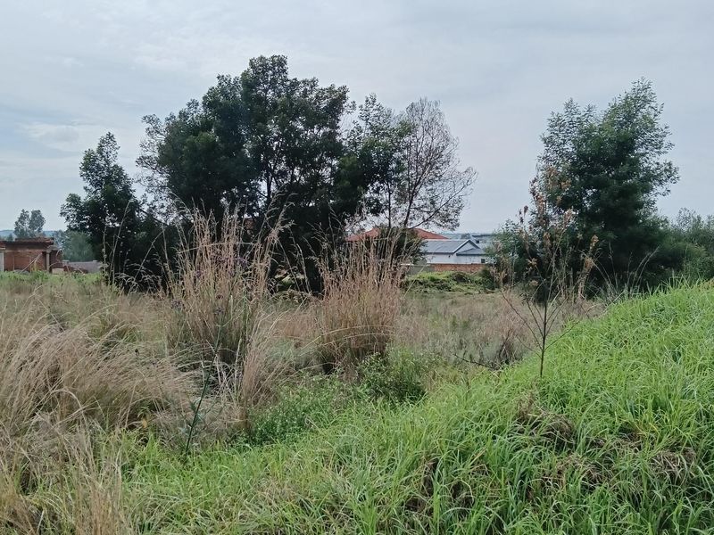 A view of a vacant residential plot featuring natural grassland and mature trees, offering a blank canvas for future development.