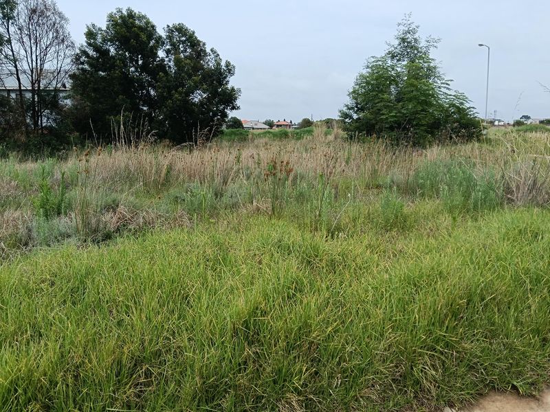 A vacant residential plot featuring natural grassland and mature trees, offering a blank canvas for future development.
