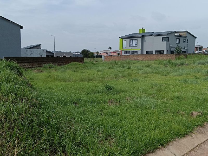 A vacant residential plot featuring a grass-covered surface, bordered by a brick boundary wall and concrete curbing in a developed neighborhood.