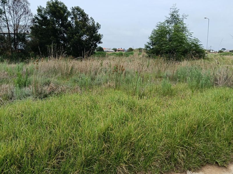 A vacant residential plot featuring natural grass and established trees, offering a blank canvas for future development in a residential area.