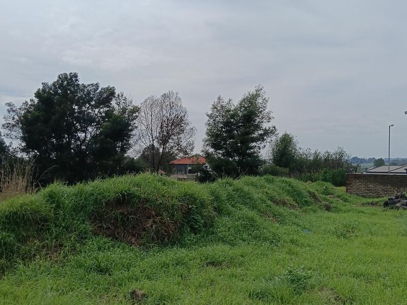 A view of a vacant residential plot featuring grassy terrain, mature trees, and a partial brick boundary wall.