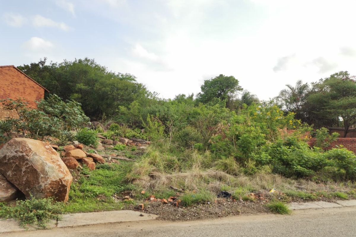 The Big Rocky Dream Plot! - Photo 5