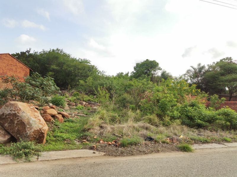 The Big Rocky Dream Plot! - Photo 5