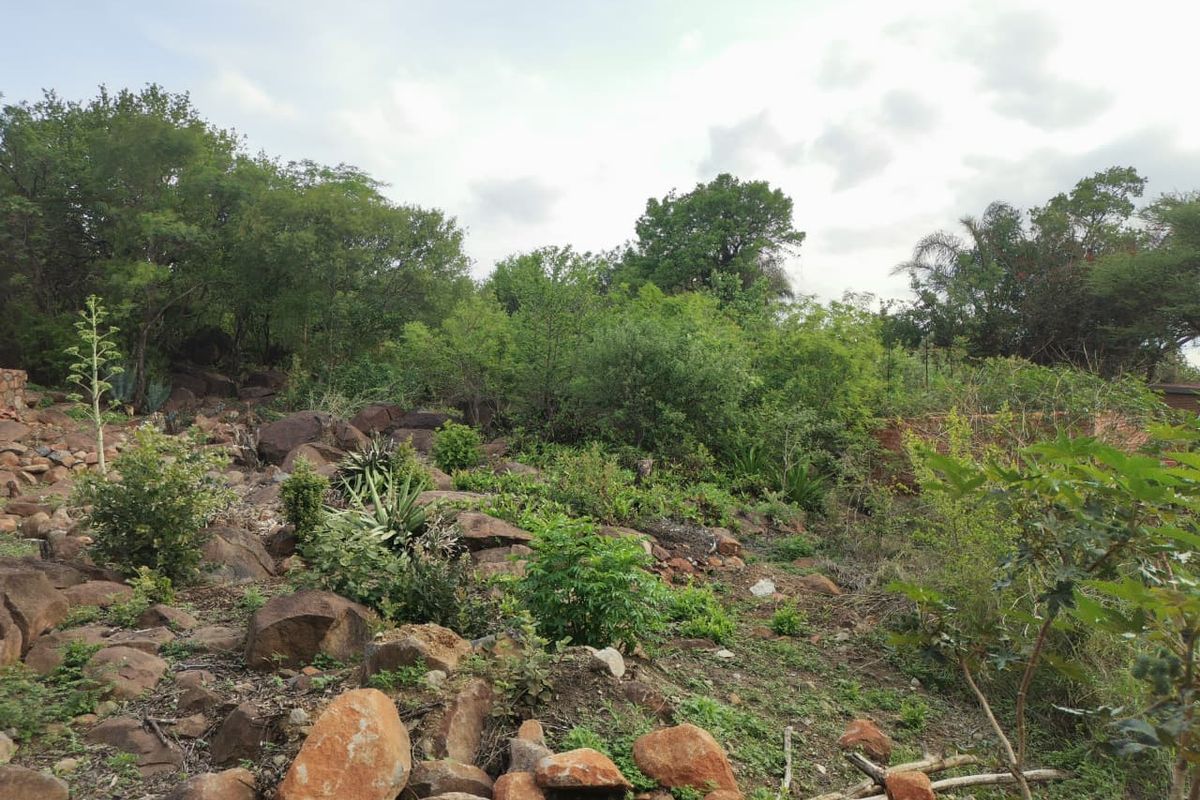 The Big Rocky Dream Plot! - Photo 4