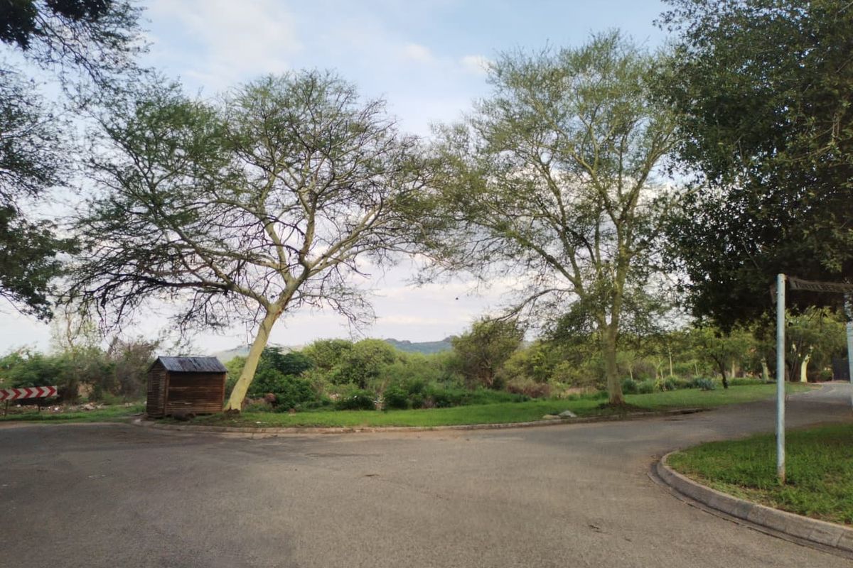 The Big Rocky Dream Plot! - Photo 3