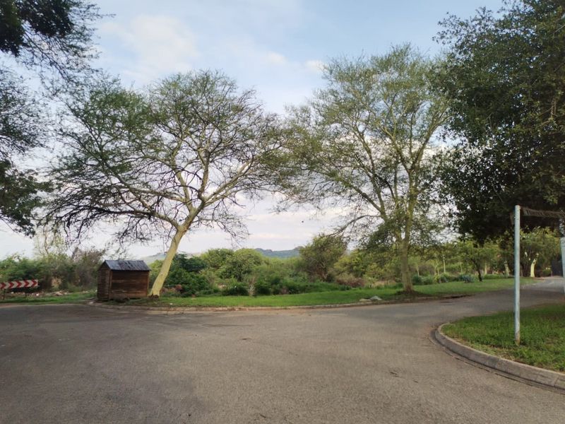 The Big Rocky Dream Plot! - Photo 3