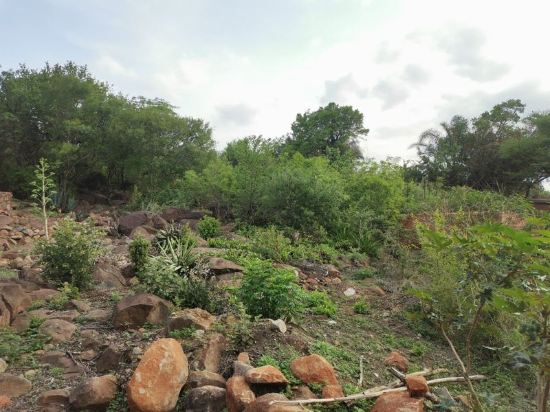 The Big Rocky Dream Plot! - Photo 9