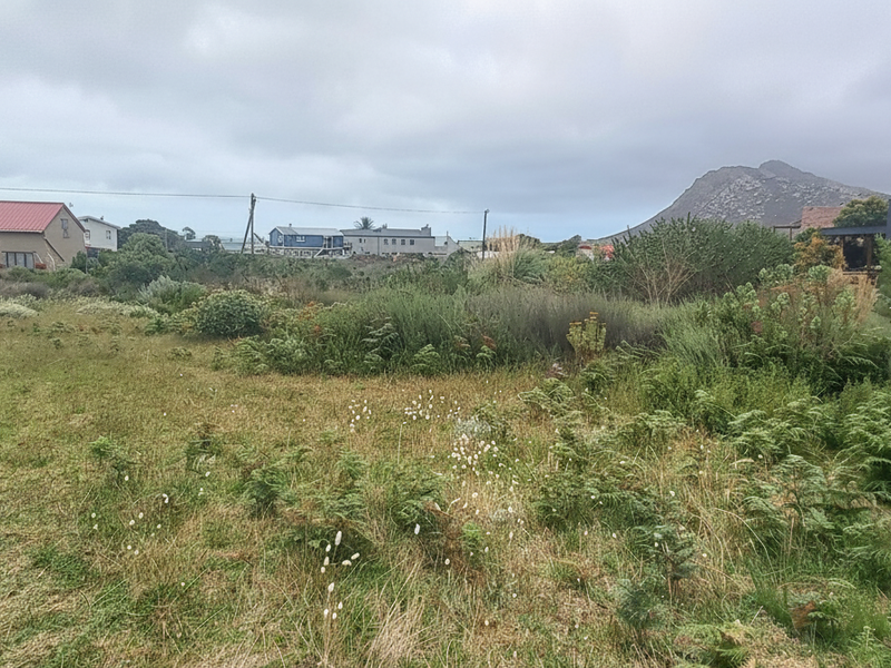 Plot/ Vaca Land For Sale Pringle Bay Offering distant sea views from ground level. Private setting. - Photo 2