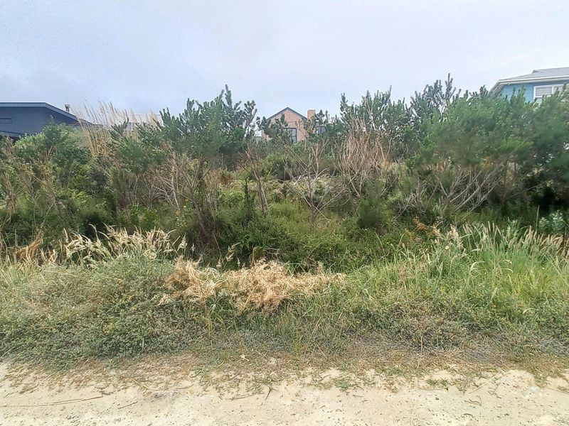 Plot/ Vaca Land For Sale Pringle Bay Offering distant sea views from ground level. Private setting. - Photo 9