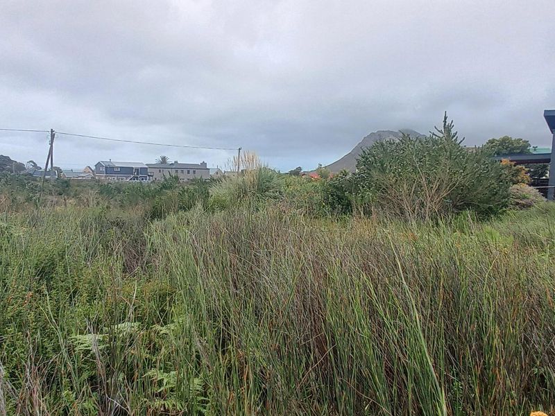 Plot/ Vaca Land For Sale Pringle Bay Offering distant sea views from ground level. Private setting. - Photo 8