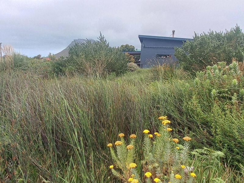 Plot/ Vaca Land For Sale Pringle Bay Offering distant sea views from ground level. Private setting. - Photo 7