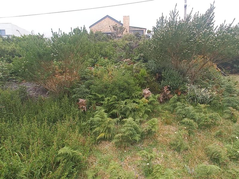 Plot/ Vaca Land For Sale Pringle Bay Offering distant sea views from ground level. Private setting. - Photo 6