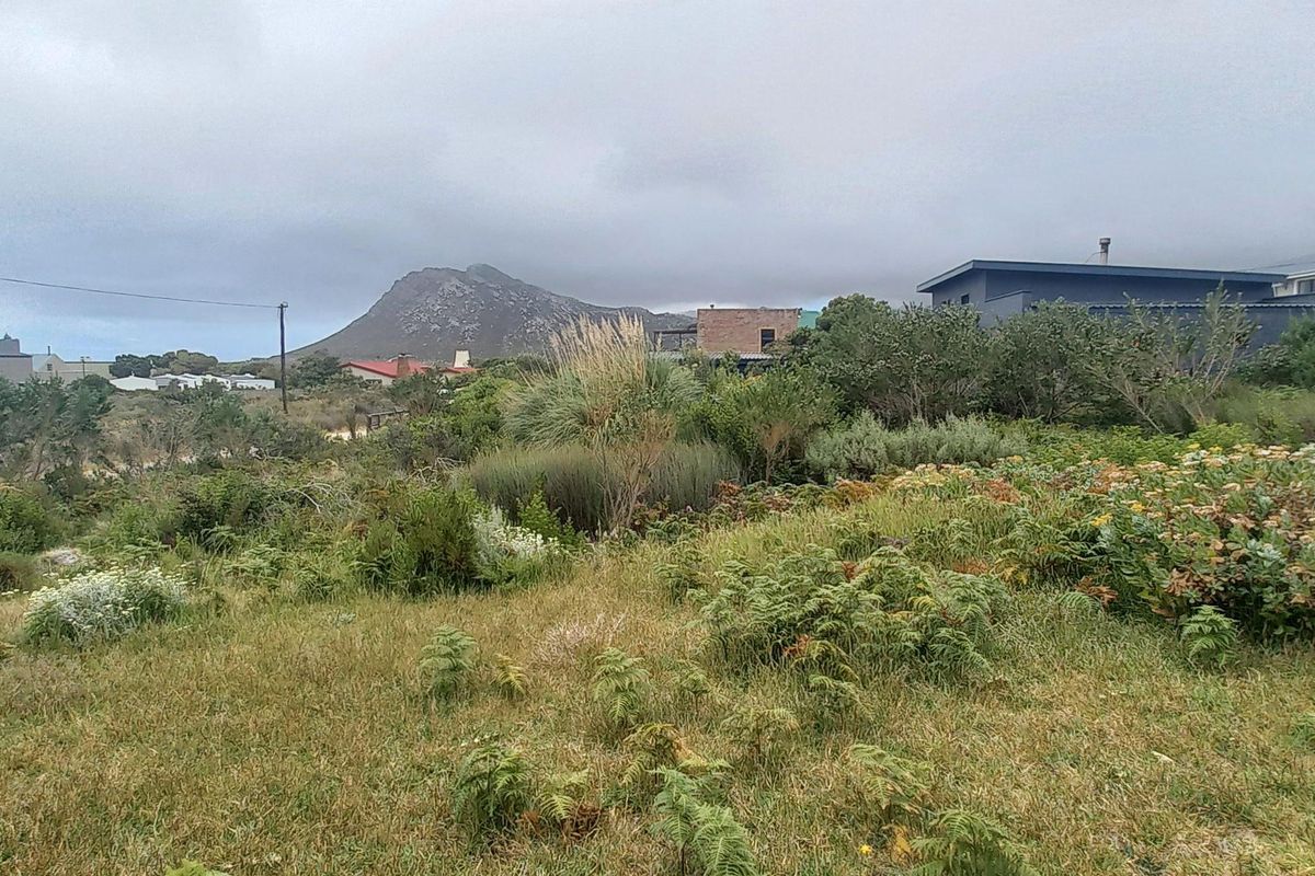 Plot/ Vaca Land For Sale Pringle Bay Offering distant sea views from ground level. Private setting. - Photo 4