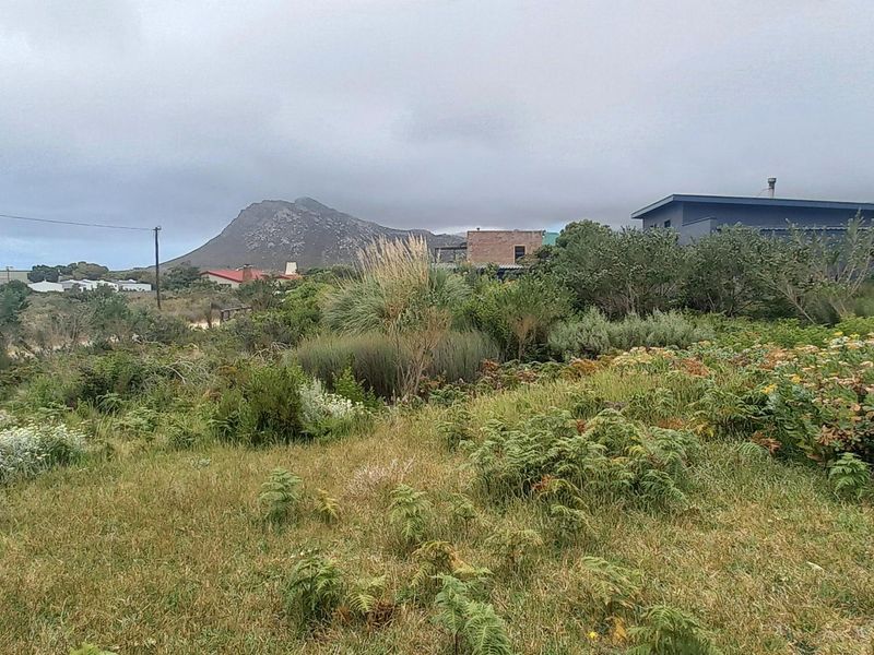 Plot/ Vaca Land For Sale Pringle Bay Offering distant sea views from ground level. Private setting. - Photo 4
