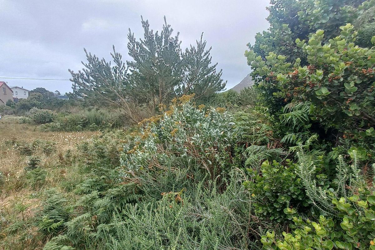Plot/ Vaca Land For Sale Pringle Bay Offering distant sea views from ground level. Private setting. - Photo 5