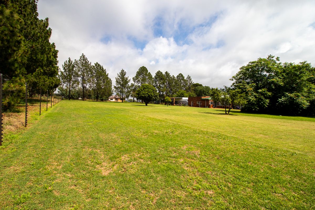 Family Home Overlooking Pond and Bird Life - Furtile Soil !!! And More - Photo 3