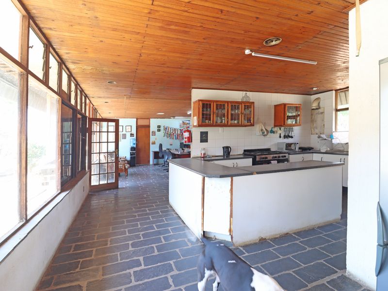 Open-plan kitchen and living area featuring stone tile flooring, a timber ceiling, and a functional u-shaped kitchen layout with built-in cabinetry.
