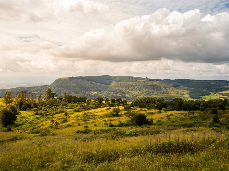 Exclusive Estate with Spectacular Views - Hilton College Area - Photo 5