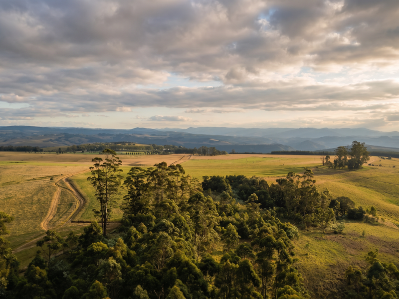 Exclusive Estate with Spectacular Views - Hilton College Area - Photo 10