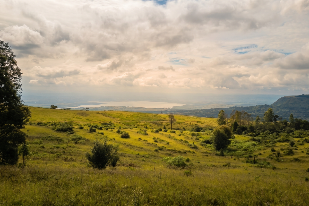 Exclusive Estate with Spectacular Views - Hilton College Area - Photo 4