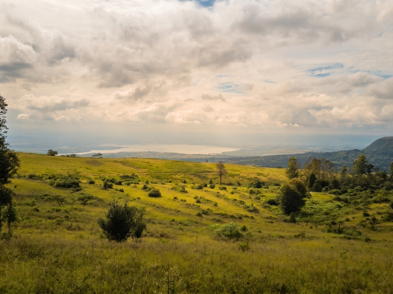 Exclusive Estate with Spectacular Views - Hilton College Area - Photo 4