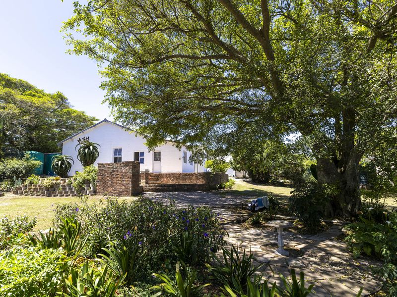 Investment Property for Sale in Port Alfred - Photo 4