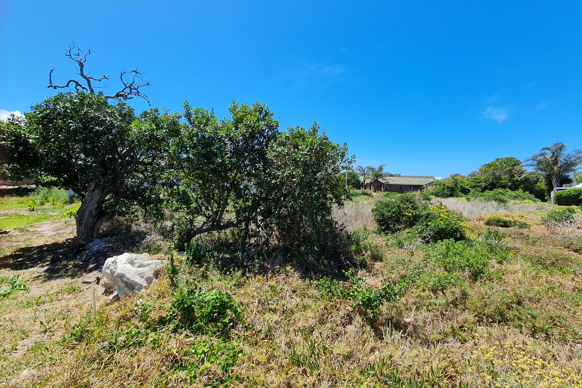 Level Stand in Aston Bay, Jeffreys Bay - Photo 5