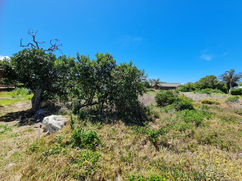 Level Stand in Aston Bay, Jeffreys Bay - Photo 5