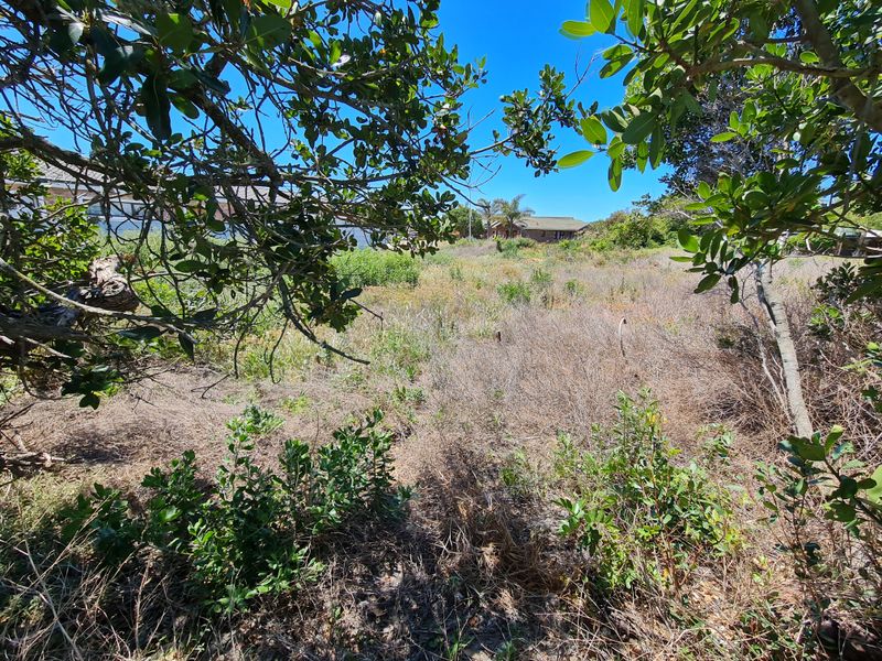 Level Stand in Aston Bay, Jeffreys Bay - Photo 4