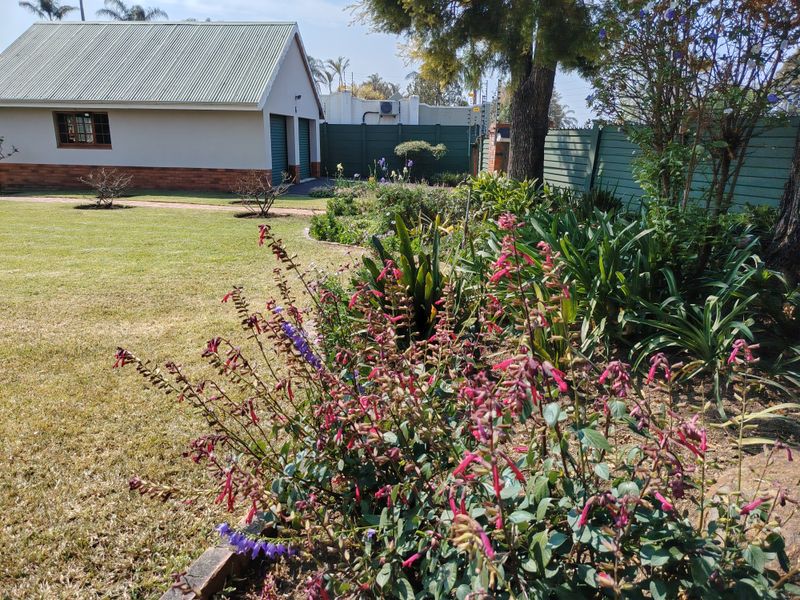 A well-maintained garden featuring a lush lawn, established flower beds, and a paved walkway leading to a detached garage structure.