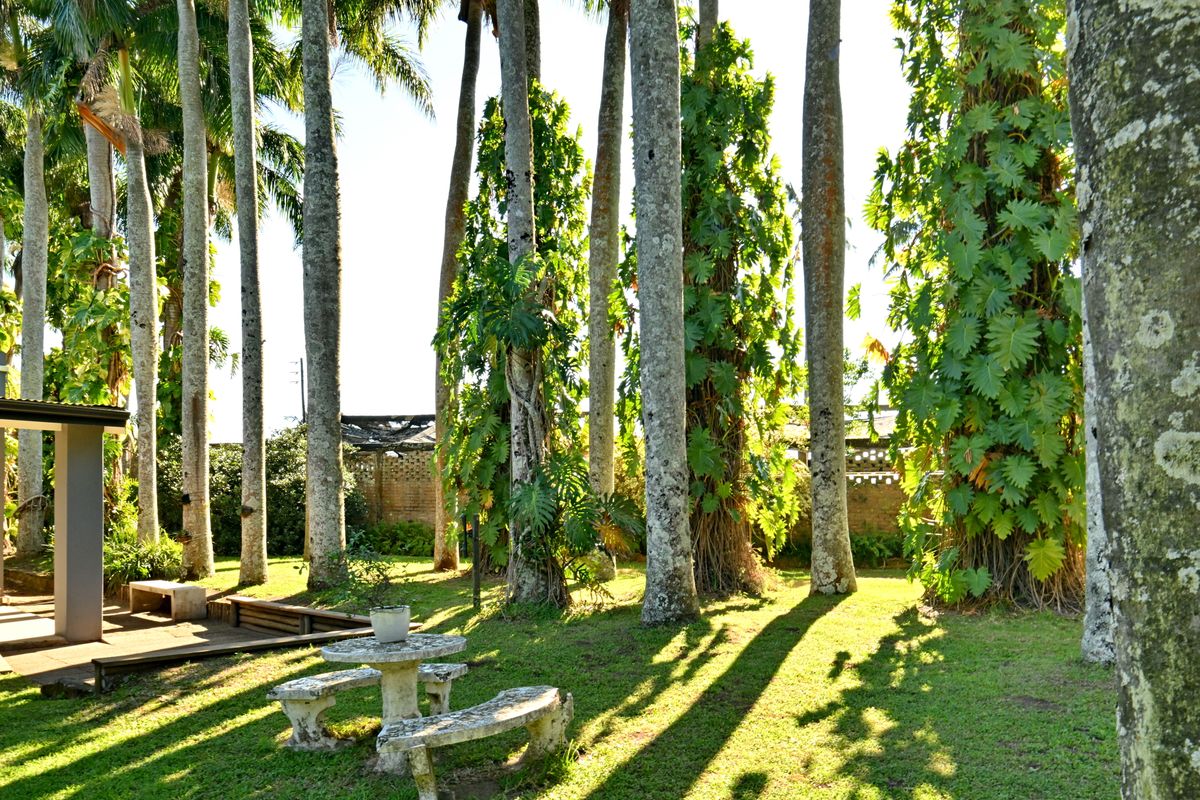 Excellent lifestyle and investment potential - Photo 3